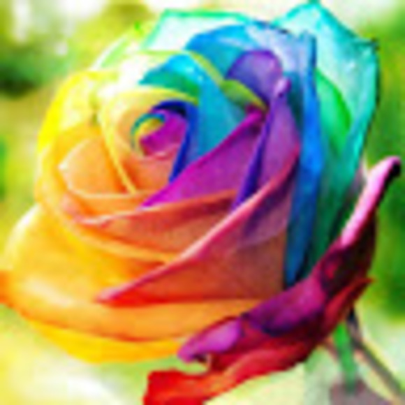 Meet your Posher, Tori - Picture 1 of 1